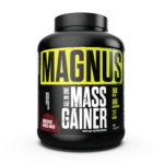 ALL IN ONE MASS GAINER | HARDCORE CHOCO-MAD